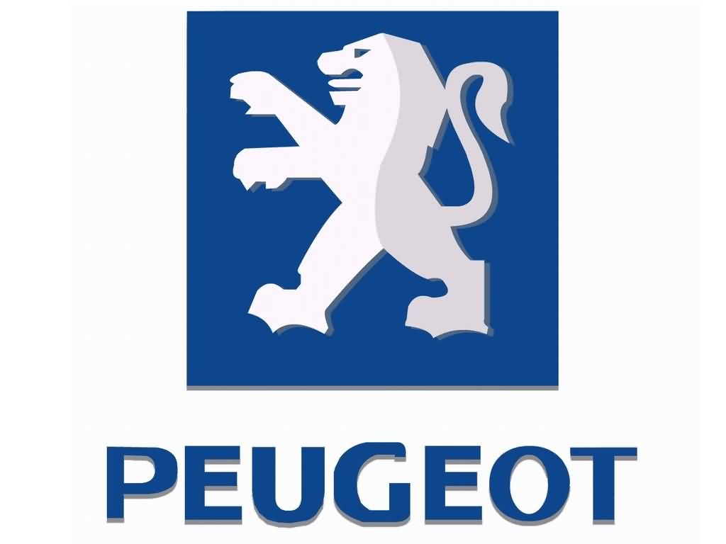  Peugeot     Alllogosru